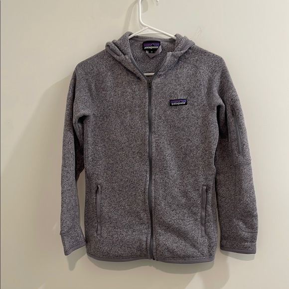 Patagonia Zip Up Hooded Sweater - Picture 1 of 4